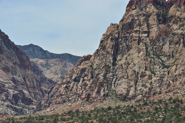 Fototapeta na wymiar Red Rock Canyon in Nevada, USA