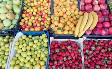 fruit market