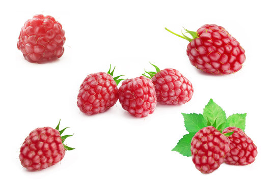 Different raspberries on a white background