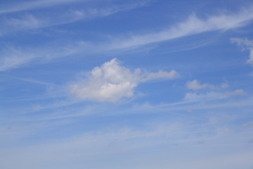 Fototapeta premium blue sky