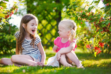 Two adorable little sisters picking red currants