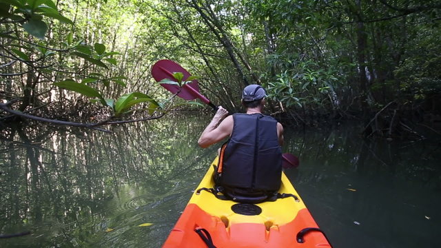 old man paddles on kayak among mangrove jungle at backlight	