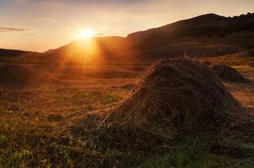 Stack of hay on a meadow in the mountains © illustrissima