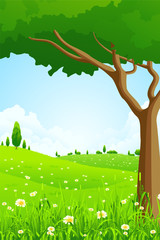 Green Landscape with Flowers and Trees