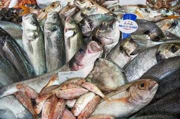 Fischmarkt - frischer Fisch, Frankreich