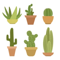 Stickers pour porte Cactus en pot mais cactus