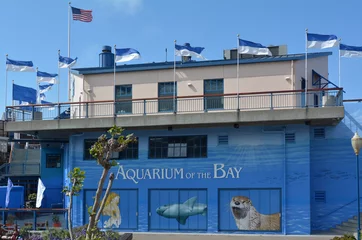 Tuinposter Aquarium of the Bay in San Francisco - California © Rafael Ben-Ari