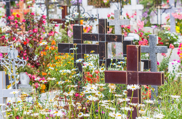 Fototapeta na wymiar cimetière créole fleuri, île de la Réunion 