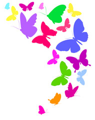butterflies design