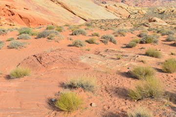 Valley of Fire State Park in Nevada, USA.