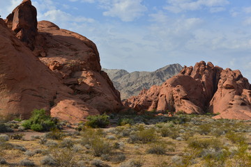 Fototapeta na wymiar Valley of Fire State Park in Nevada, USA.