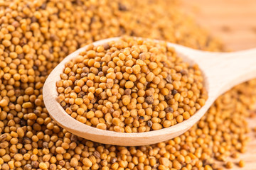 Wooden spoon of mustard seeds on wood table