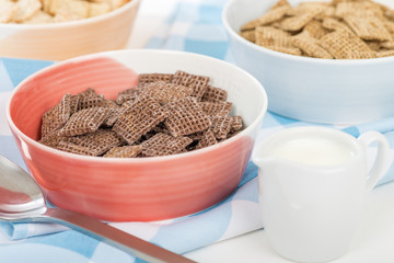 Coco Shreddies - A bowl with chocolate flavoured cereals.

