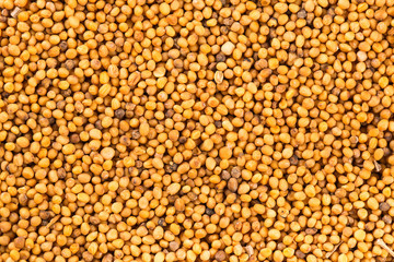 Brown mustard seeds abstract background