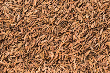 Close up of cumin seeds. Macro
