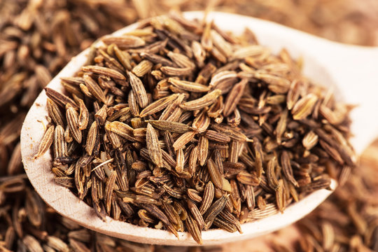 Cumin seeds in wooden spoon