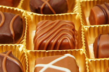 Various and tasty chocolates candies in a box