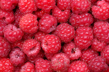 background with fresh wild raspberries