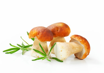 Fresh porcini mushrooms