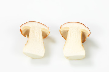 Fresh edible mushroom