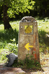 shell sign marks of Camino de Santiago , Galicia, Spain