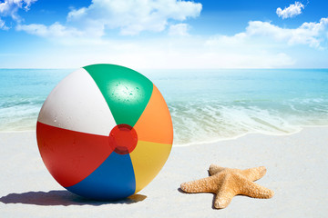 Bunter Wasserball und Seestern am Strand