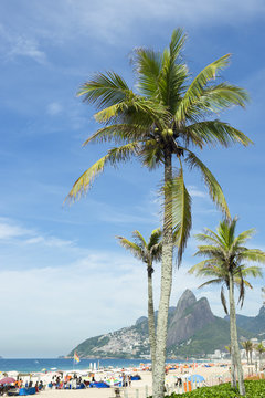 Scenic view of Ipanema Beach Rio de Janeiro Brazil with Two Brothers Mountain through palm trees