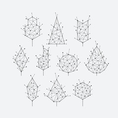 Polygonal graphical set of isolated vector trees
