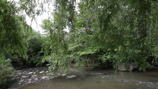 rivi&egrave;re