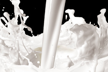 lait