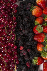 Some gooseberries, raspberries, strawberries and blueberries ove