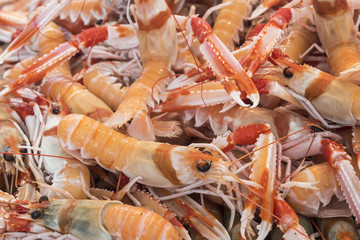 Mantis Shrimp in seafood market