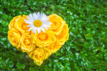 Rosenherz mit Margerite