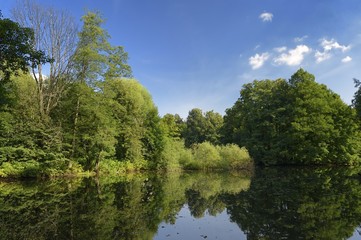 Fototapeta na wymiar Old pond