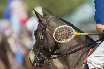 Photo sur Plexiglas Léquitation Polo-Cross horse  rider racket closeup unidentified equestrian sport