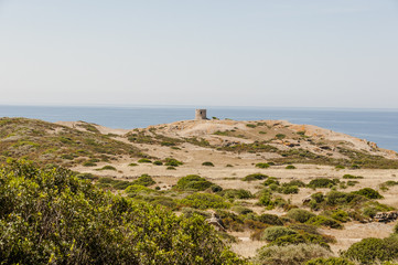 Alghero, Stadt, Küstenstrasse, Küste, Klippen, Mittelmeer, Turm, Torre Argentina, Insel, Sardinien, Schweiz