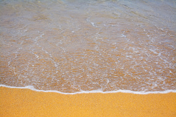 yellow foreshore close up