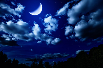 Naklejka na ściany i meble night summer forest with and bright large moon in dark sky