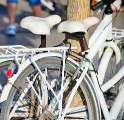 white bikes leaning against a tree