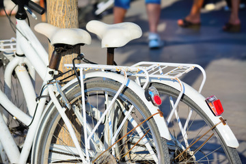 Fototapeta na wymiar white bikes leaning against a tree