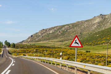 a winding road, protections and warning signs
