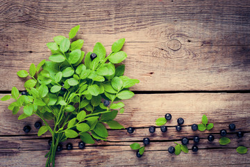 Blueberry branch with leaves and blue berries on old wooden back