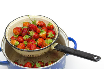 strawberries on the white background 