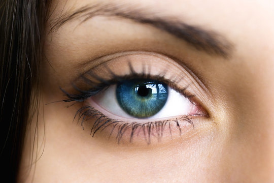 Female dark blue eye close up