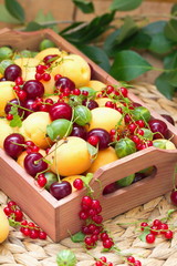 Basket of fresh fruit in summer