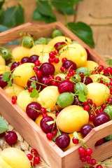 Basket of fresh fruit in summer
