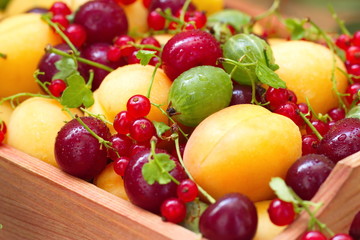 Basket of fresh fruit in summer