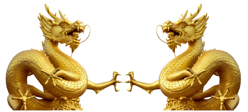 Double golden dragon statue at isolated on white background