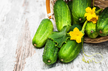 Fresh cucumbers