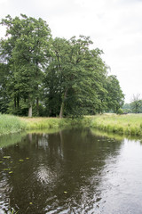 Fototapeta na wymiar little river in nature in holland